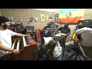 the expanders - reggae live stream to enjoy